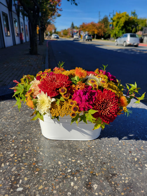 Container Arrangements