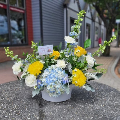 Container Arrangements