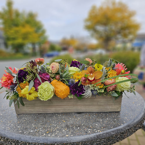 Container Arrangements